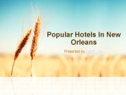 Popular Hotels In New Orleans