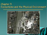 Chapter 5 Ecosystems and the Physical Environment