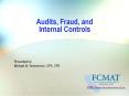 Michael W. Ammermon, CPA, CFE PowerPoint PPT Presentation