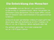 Die Entwicklung des Menschen