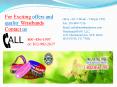 Silicone Wristbands PowerPoint PPT Presentation