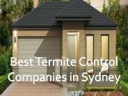 Best Termite Control Companies in Sydney