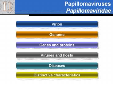 Papillomaviruses Papillomaviridae