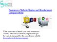 Ecommerce Website Design and Development Company Delhi
