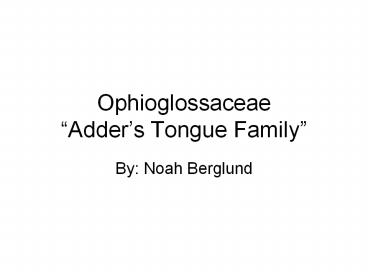 Ophioglossaceae 