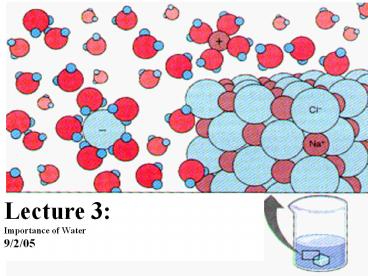 Importance%20of%20Water