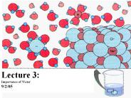 Importance%20of%20Water