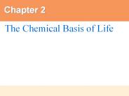 The%20Chemical%20Basis%20of%20Life