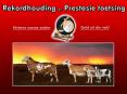Rekordhouding en Prestasie Toetsing PowerPoint PPT Presentation