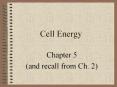 Cell Energy PowerPoint PPT Presentation