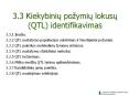 3.3 Kiekybiniu po PowerPoint PPT Presentation