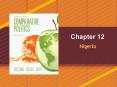Nigeria PowerPoint PPT Presentation