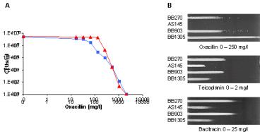 presentation player overlay