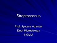 Streptococcus
