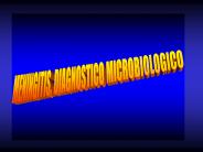 MENINGITIS. FACTORES PREDISPONENTES