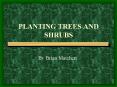 PLANTING TREES AND SHRUBS PowerPoint PPT Presentation