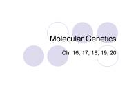 Molecular Genetics