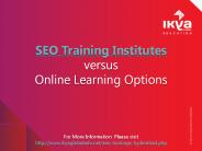 SEO Training Institutes versus Online Learning Options
