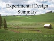 Experimental Design Summary
