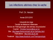 Les infections ut