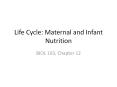 Life Cycle: Maternal and Infant Nutrition PowerPoint PPT Presentation