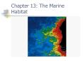 Chapter 13: The Marine Habitat PowerPoint PPT Presentation