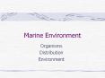 Marine Environment PowerPoint PPT Presentation