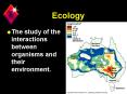 Ecology PowerPoint PPT Presentation