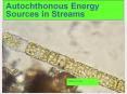 Autochthonous%20Energy%20Sources%20in%20Streams PowerPoint PPT Presentation