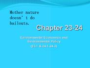 Environmental Economics and