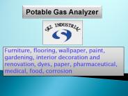 Potable Gas Analyzer