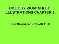 BIOLOGY WORKSHEET ILLUSTRATIONS CHAPTER 5 PowerPoint PPT Presentation
