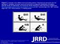 Faupin A, Gorce P, Meyer C. Effects of type and mode of propulsion on hand-cycling biomechanics in nondisabled subjects. J Rehabil Res Dev. 2011;48(9):1049-60. DOI:10.1682/JRRD.2010.10.0199 PowerPoint PPT Presentation