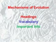 Mechanisms of Evolution