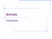Animals