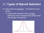 II.) Types of Natural Selection