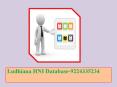 Ludhiana HNI Database-9224335234 PowerPoint PPT Presentation