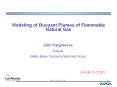 Modeling of Buoyant Plumes of Flammable Natural Gas PowerPoint PPT Presentation