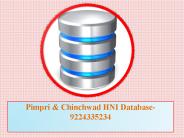 Pimpri & Chinchwad HNI Database-9224335234