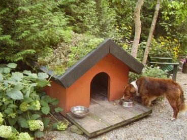 Interactive Ad of the Day