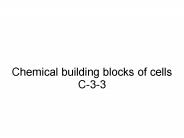Chemical building blocks of cells