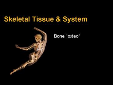 Skeletal%20Tissue%20
