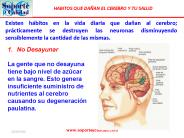 Diapositiva 1