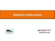 Badania rynku pracy