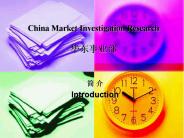 China Market Investigation Research  ?????