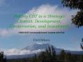 Putting CBT in a Strategic Context: Development, Conservation, and Investment PowerPoint PPT Presentation