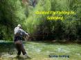 Guided Fly Fishing in Scotland PowerPoint PPT Presentation