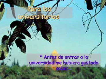 Para los universitarios