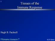 Tissues of the Immune Response