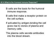 42.4 What Is the Humoral Immune Response?